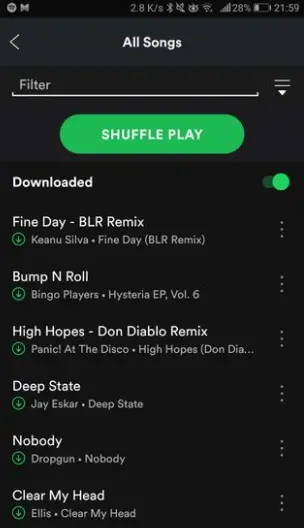 download songs from spotify to computer