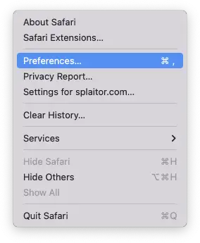 safari google this connection is not private