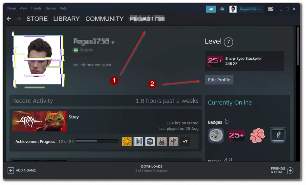How to hide your status in Steam | Splaitor
