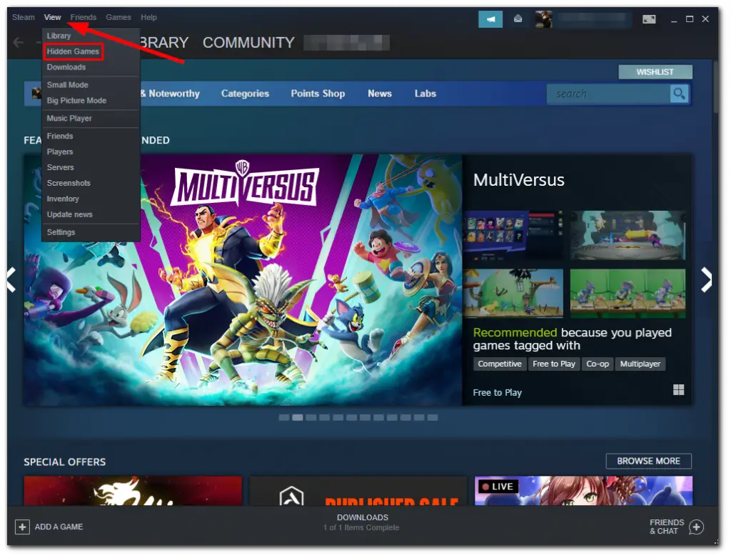 how-to-see-hidden-games-on-steam-splaitor