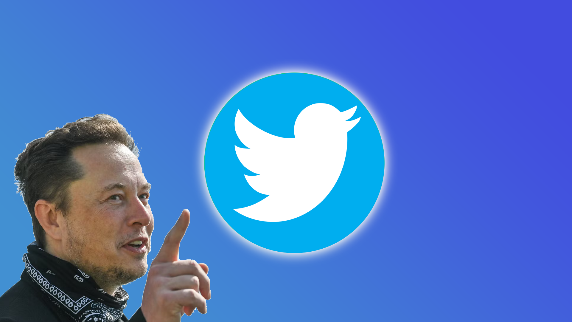 Elon Musk plans to resign as head of Twitter